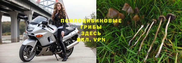 дурь Дмитров