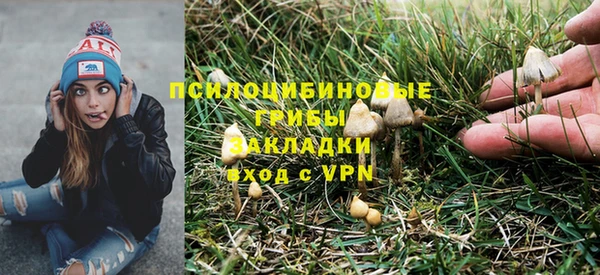apvp Абдулино