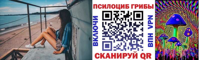 Псилоцибиновые грибы Cubensis  Хабаровск 